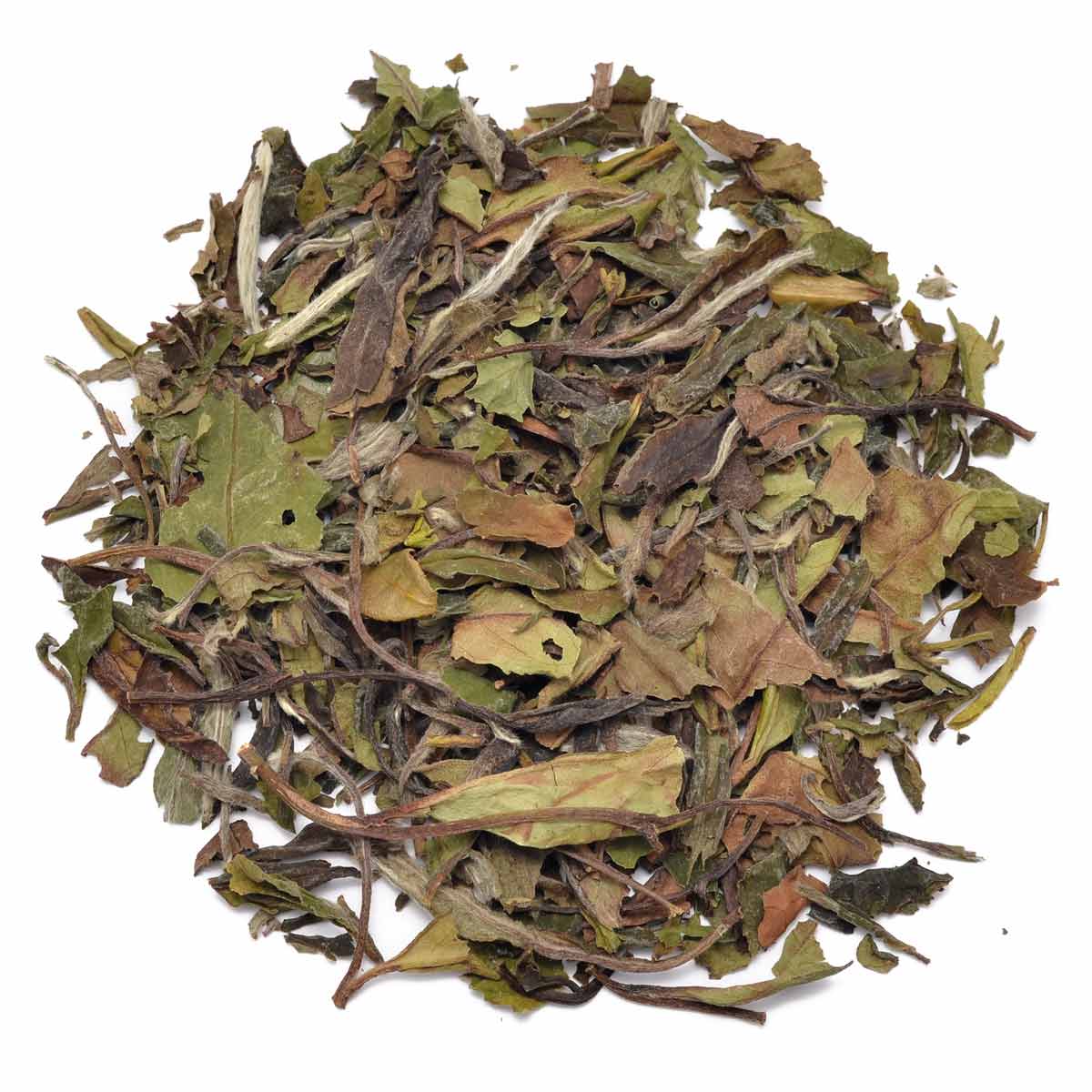Pai Mu Tan TOP 6901 Fujian 1 kg/Pkg naturbelassener Grüntee 6F60529A-4333-4039-8F80-2B779DC86106.jpg